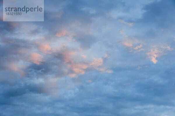 Rosa farbene Schäfchenwolken zieren den abendllichen blauen Himmel bei Sonnenuntergang