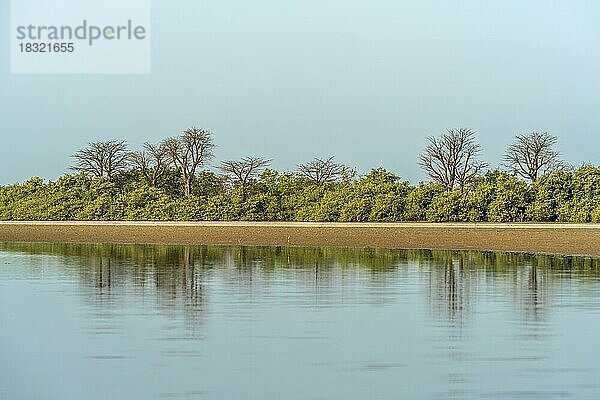 Mangroven Landschaft  Insel Kathior  Missirah  Sine Saloum Delta  Senegal  Westafrika  Afrika