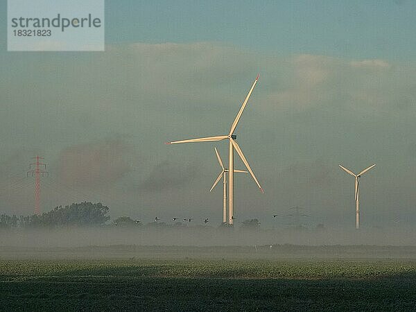 Windkraft-Anlagen und Hochspannungsleitungen im frühmorgendlichen Nebel. Ochsenwerder  Hamburg  Deutschland  Europa