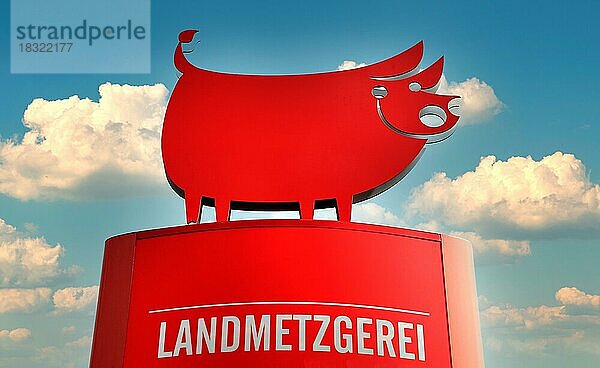 Werbefigur in der Form eines fröhlichen Schwein  für eine Landmetzgerei  hier in Rasdorf  Landkreis Fulda  Hessen  Deutschland  Europa