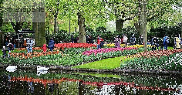 Ein Magnet des internationalen Tourismus ist der niederlaendische Keukenhof seit Langem  besonders attraktiv jedoch auch zur Tulpenbluete wie hier am 28.4.2018 in Lisse  NDL  Niederlande  Europa