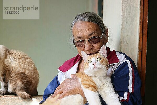 Favela  Seniorin mit ihren Katzen  Belo Horizonte  Minas Gerais  Brasilien  Südamerika