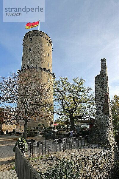 Burg Godesburg  Ruine  Turm  Bad Godesberg  Bonn  Nordrhein-Westfalen  Deutschland  Europa