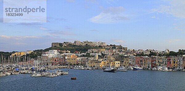 Hafen  Insel Ischia  Italien  Europa