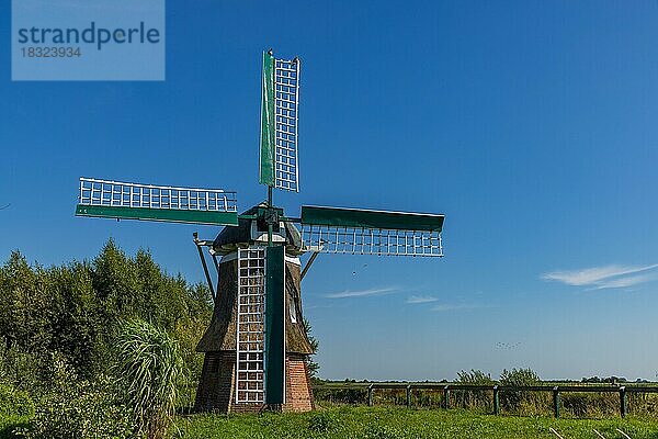Alte Windmühle in Südbrookmerland  Ostfriesland  Niedersachsen  Deutschland  Europa