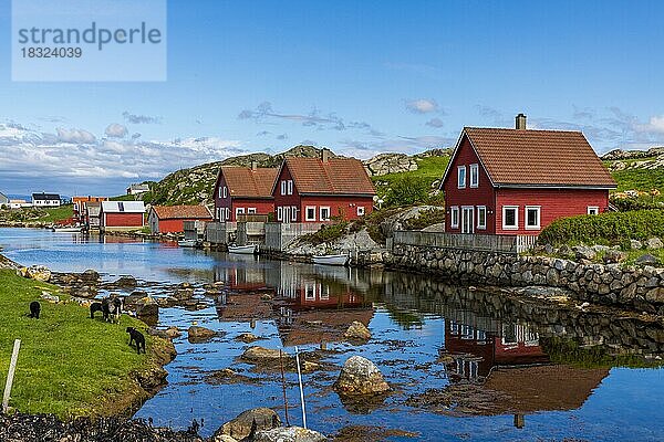 Skandinavische Idylle auf der Halbinsel Egeroy  Norwegen  Europa