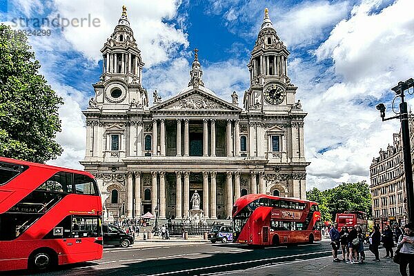 Doppeldeckerbusse vor der St. Pauls Kathedrale  London  City of London  England  United Kingdom  Großbritannien  Europa