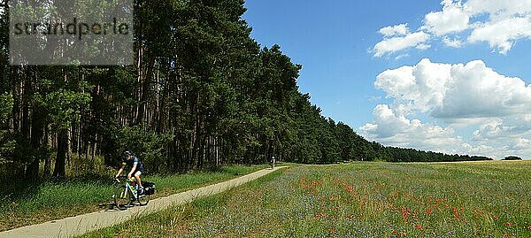 Ein Landstrich der Natur und ein Highlight fuer Feriengaeste und Urlauber ist die Strelitzer Seenplatte als Teil der Mecklemburgischen Kleinseenplatte  Deutschland  Europa