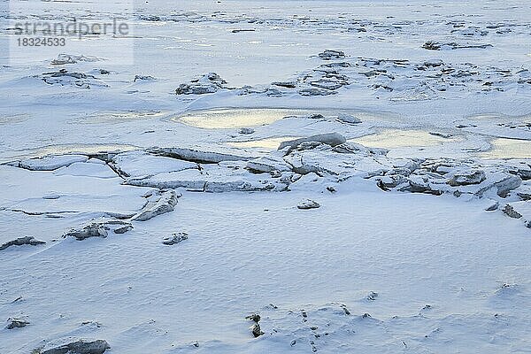 Eisschollen in der Kachemak Bay bei Homer auf der Kenai Halbinsel  Alaska  USA  Nordamerika