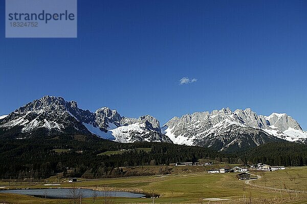 Panorama Wilder Kaiser bei Going  Tirol  Österreich  Europa