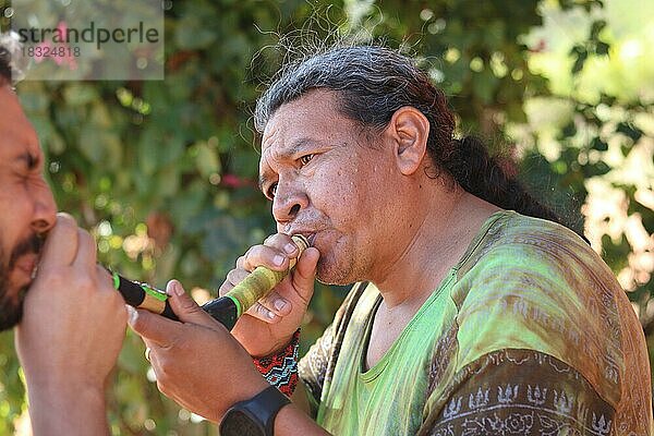 Indigenes Volk  Anwendung des heiligen indigenen Schnupftabaks (Rapé) durch einen Mann der Ureinwohner Guaraní  Brasilien  Südamerika