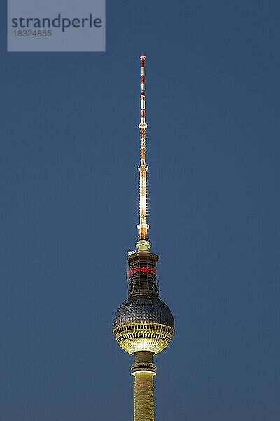 Fernsehturm beleuchtet zur blauen Stunde  Berlin  Deutschland  Europa