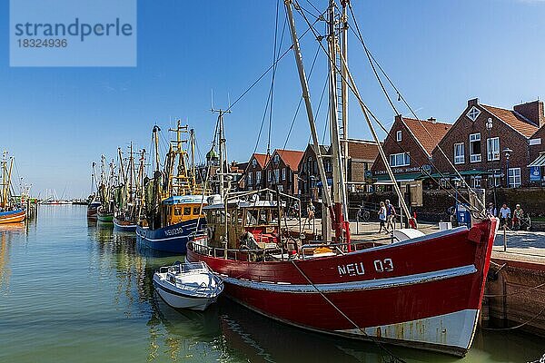 Hafen mit Kuttern in Neuharlingersiel  Ostfriesland  Niedersachsen  Deutschland  Europa