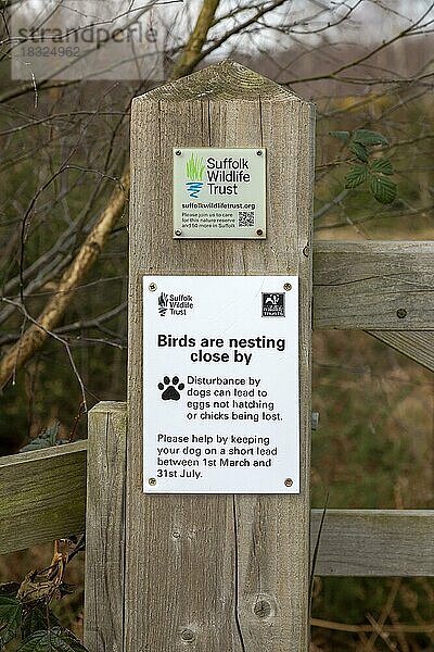 Schild des Suffolk Wildlife Trust zum Schutz nistender Vögel vor Hunden  Rendlesham Forest  Suffolk  UK