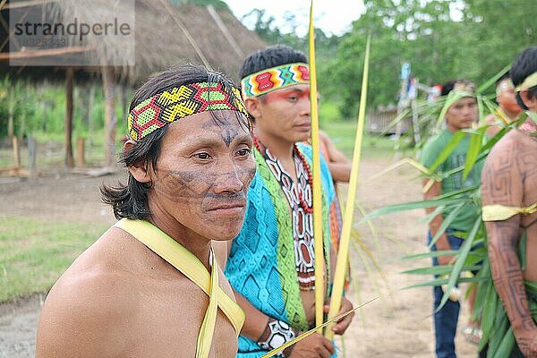 Indigenes Volk  Männer der Ureinwohner Huni Kuin geschmückt mit Pflanzenblättern während eines traditionellen Rituals in ihrem Dorf im Amazonas-Regenwald  Acre  Brasilien  Südamerika