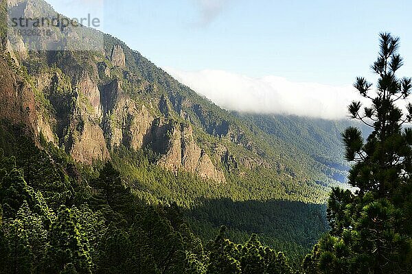 Wie alle kanarischen Inseln ist auch La Palma vulkanischen Ursprungs  jedoch hat sie viel Gruen. Cumbre Nueva  ESP  Spanien  Kanaren  Europa