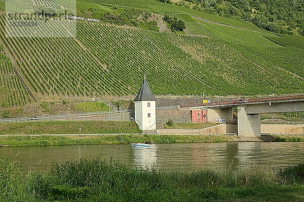 Fährturm in Trittenheim im Weinanbaugebiet Trittenheimer Apotheke  Mittelmosel  Mosel  Rheinland-Pfalz  Deutschland  Europa