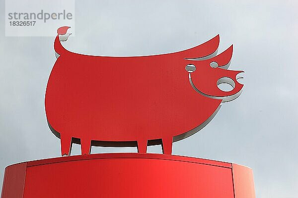 Werbefigur in der Form eines fröhlichen Schwein  für eine Landmetzgerei  hier in Rasdorf  Landkreis Fulda  Hessen  Deutschland  Europa