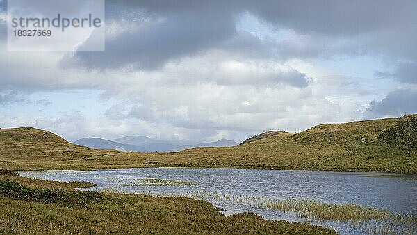 Typische Landschaft in den Highlands  Schottland  Großbritannien  Europa