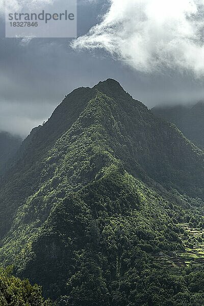 Kurviger Grat  Berge mit Nebel  Dschungel  Boaventura  Madeira  Portugal  Europa