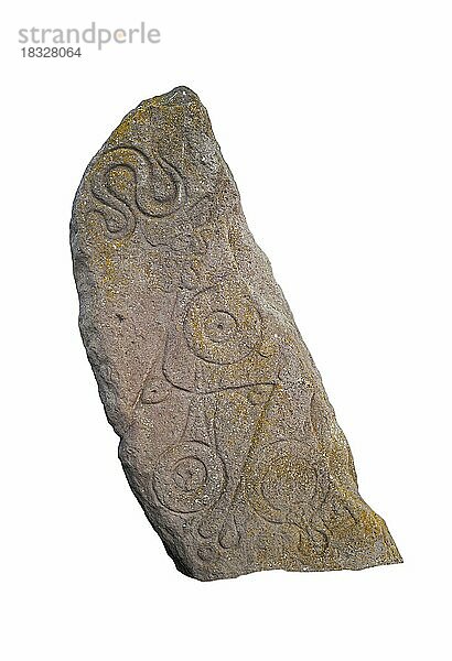 Der Schlangenstein  gemeißelter piktischer Stein in Aberlemno  Schottland  Vereinigtes Königreich vor weißem Hintergrund