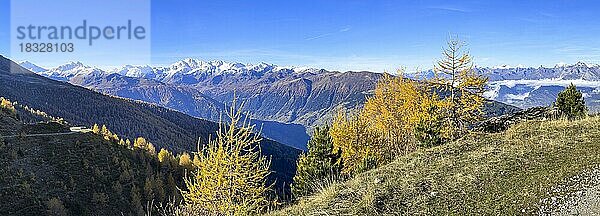 Aussicht auf das Val d'Hérens  verschneite Berggipfel und Herbstwald mit bunten Lärchen  Alpage de Mase  La Louère  Wallis  Schweiz  Europa