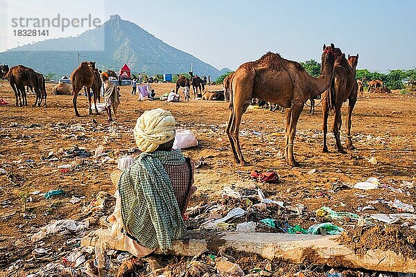 Ein indischer Mann sitzt inmitten von Müll und Kamele auf dem Pushkar Kamelmarkt (Pushkar Mela)  der jährlich stattfindenden berühmten Kamel- und Viehmesse und Touristenattraktion  Pushkar  Indien  Asien