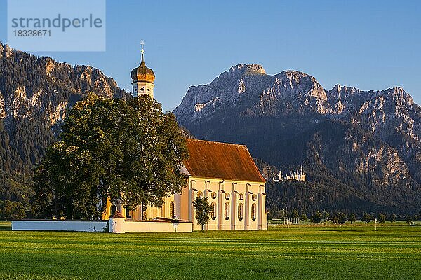 Wallfahrtskirche St. Coloman  dahinter Schloss Neuschwanstein  Schwangau  bei Füssen  und der Säuling  2047m  Allgäu  Bayern  Deutschland  Europa