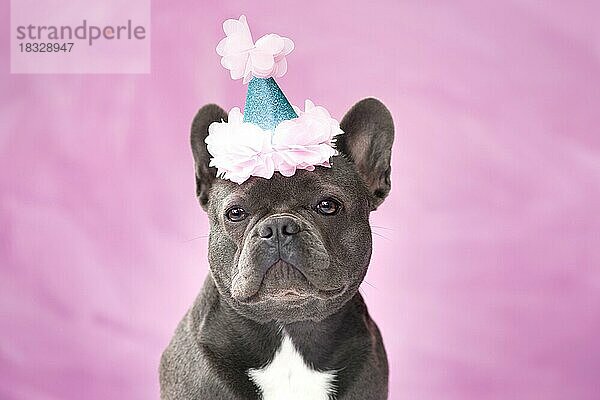 Schwarze Französische Bulldogge mit Partyhut auf rosa Hintergrund