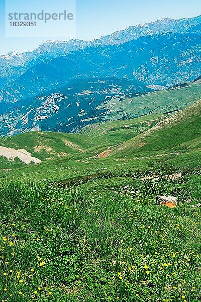 Blühende  farbenprächtige Wildblumen im Hochland von Artvin