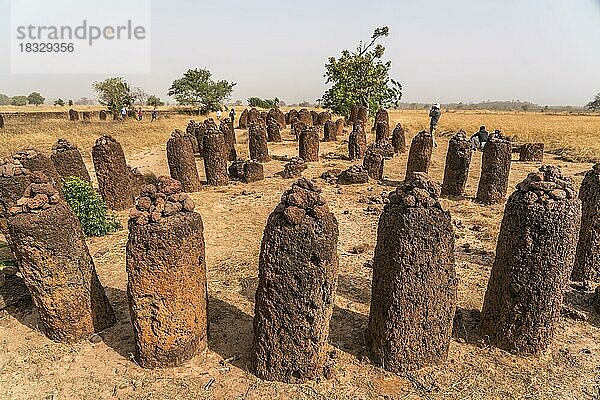 Die Steinkreise von Wassu  UNESCO Welterbe in Wassu  Gambia  Westafrika  Afrika