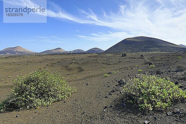 Vulkanlandschaft mit Montana Negra nahe dem Nationalpark Timanfaya  Lanzarote  Kanaren  Spanien  Europa