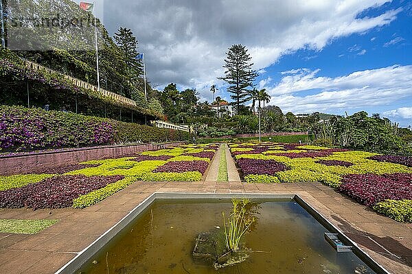 Als Muster gepflanzte Blumenbeete  Botanischer Garten  Jardim Botanico  Funchal  Madeira  Portugal  Europa