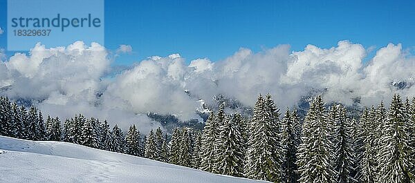 Panorama Höhenweg  Kleinwalsertal  Allgäuer Alpen  Vorarlberg  Österreich  Europa