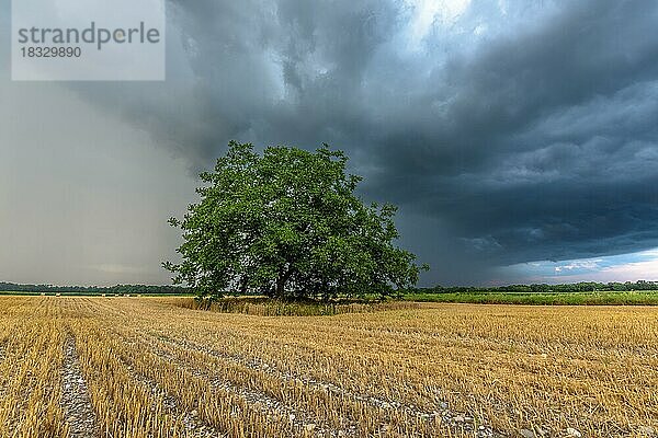 Stormy sky over cultivated plain in summer. Elsass  Frankreich  Europa