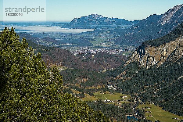 Stillachtal  dahinter Oberstdorf und der Grünten  1738m  Oberallgäu  Bayern  Deutschland  Europa