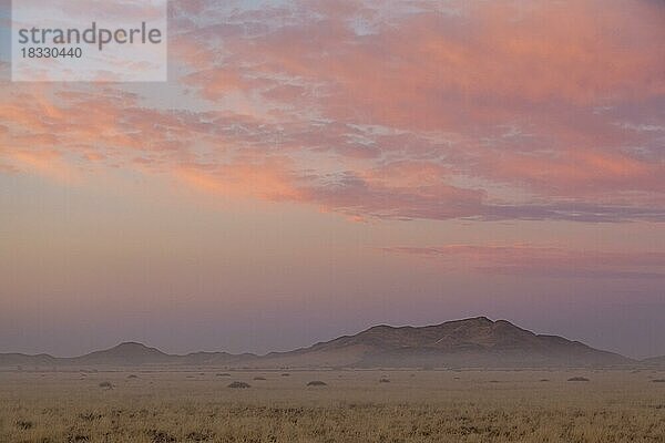 Landschaft an der Hauptstraße C19  Sonnenaufgang  Bodennebel  Namibia  Afrika