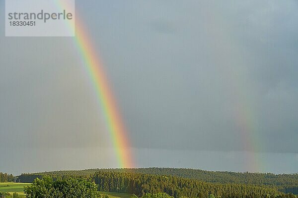Regenbogen  Wald  Himmel  Frühling  Fichtelgebirge  Bayern  Deutschland  Europa