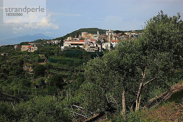 Lubrense und Massa Lubrense auf der Penisola Sorrentina  Kampanien  Italien  Europa