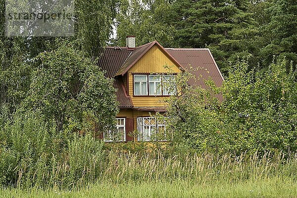 Wohnhaus inmitten von Bäumen im Dorf Klooga  Kreis Harju  Estland  Europa