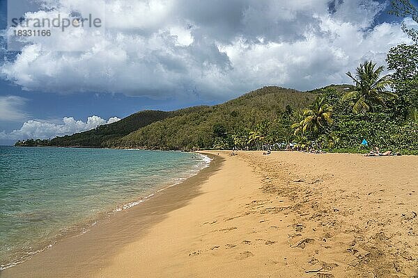Am Strand Plage de Grande Anse bei Deshaies im Norden von Basse-Terre  Guadeloupe  Frankreich  Nordamerika