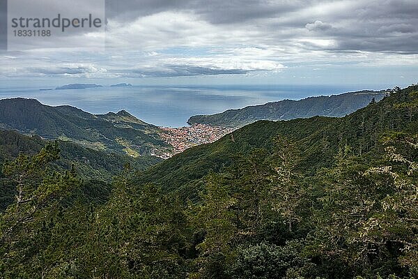 Blick über Wald und auf Stadt Machico  Madeira  Portugal  Europa