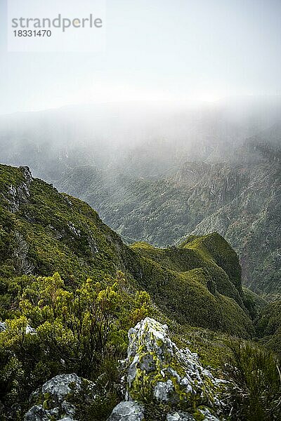 Nebel in den Bergen  Achada do Teixeira  Madeira  Portugal  Europa