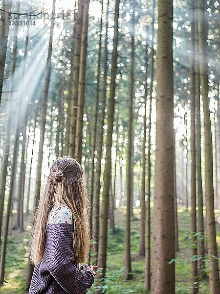 Junge Frau Mädchen Dame im Wald in der Nähe des Baumes lehnen  Waldbaden