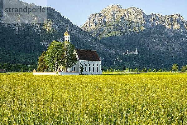 Barocke Kirche St. Coloman  dahinter Schloss Neuschwanstein und der Berg Säuling  2047m  Schwangau  Ostallgäu  Allgäu  Schwaben  Bayern  Deutschland  Europa