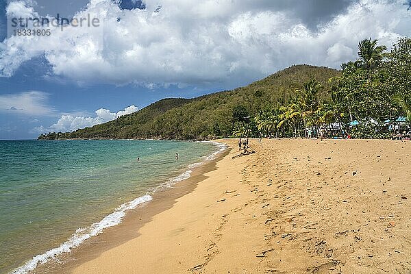 Am Strand Plage de Grande Anse bei Deshaies im Norden von Basse-Terre  Guadeloupe  Frankreich  Nordamerika