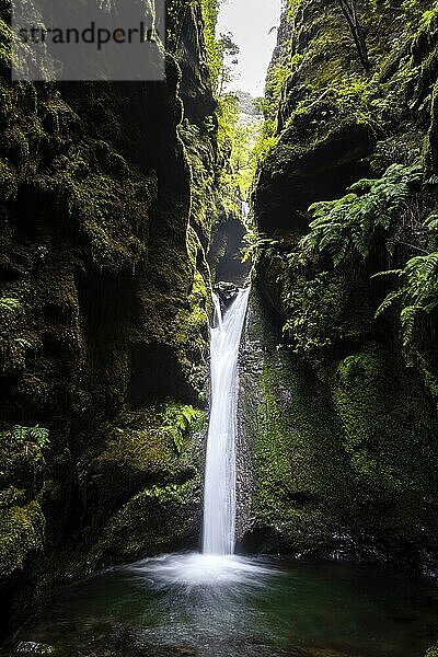 Ribeira Grande  Wasserfall in einer Klamm am PR9 Levada do Caldeirão Verde  Madeira  Portugal  Europa