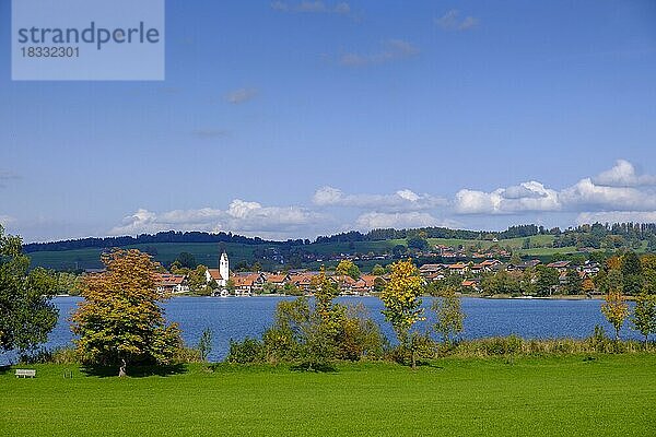 Riegsee  Pfaffenwinkel  Oberbayern  Bayern  Deutschland  Europa