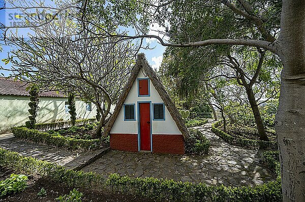 Casas de Colmo  traditionelles strohgedecktes Haus  Botanischer Garten  Jardim Botanico  Funchal  Madeira  Portugal  Europa