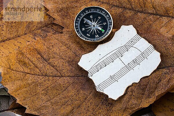 Kompass ein Instrument und Papier mit Musiknoten auf trockenen Blättern